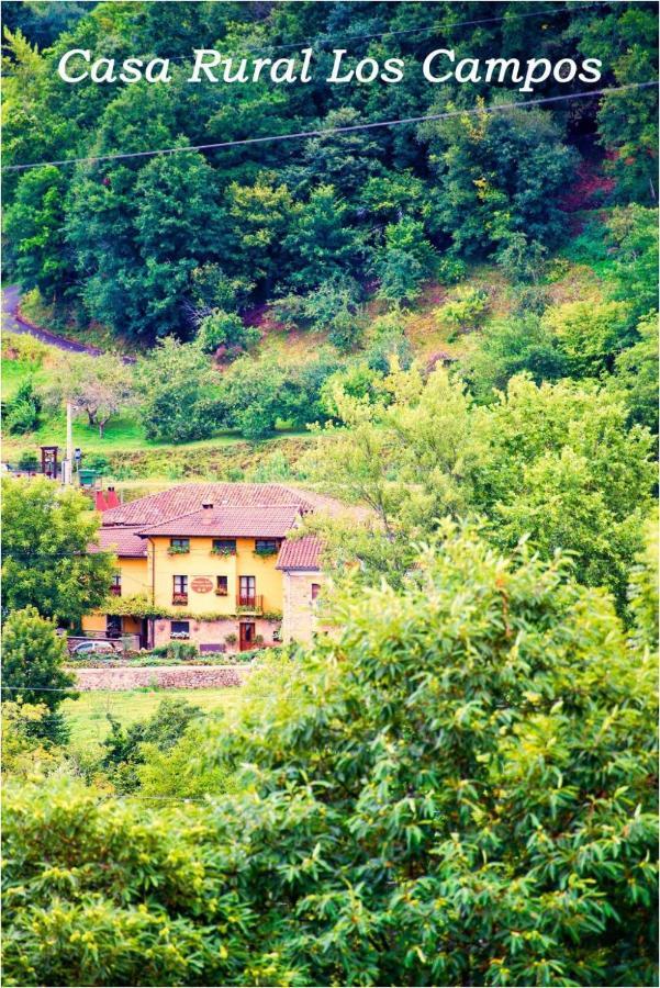 Casa Rural Los Campos Corao 외부 사진