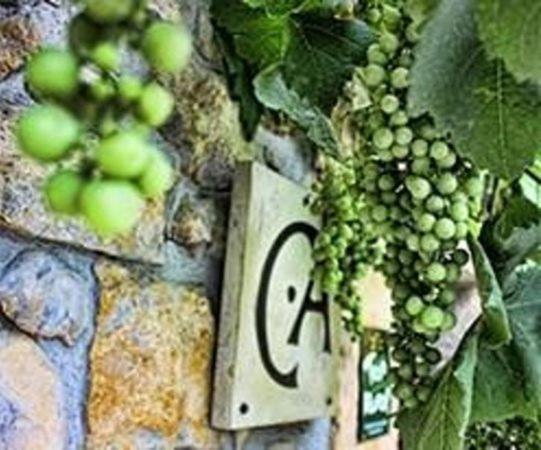 Casa Rural Los Campos Corao 외부 사진