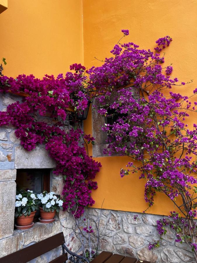 Casa Rural Los Campos Corao 외부 사진
